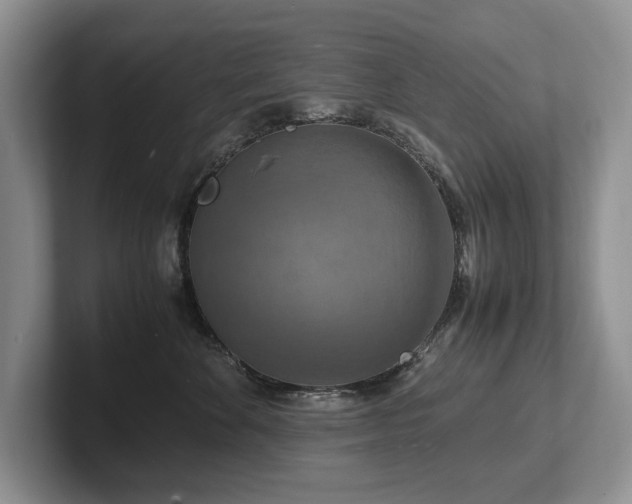 X0000102510524200808081413