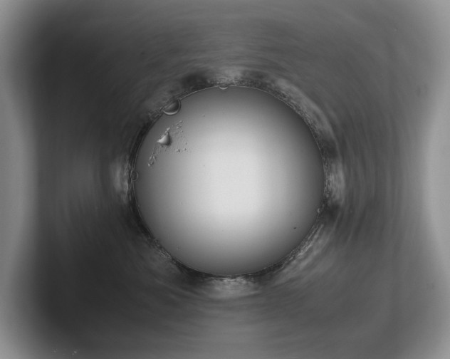 X0000102510525200808081413