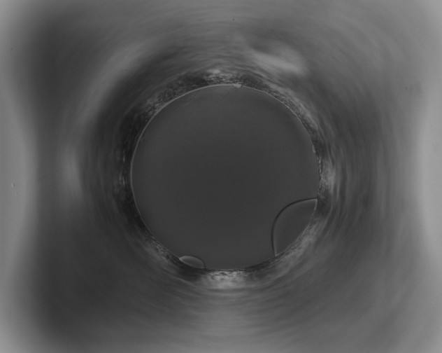 X0000102510526200808081413