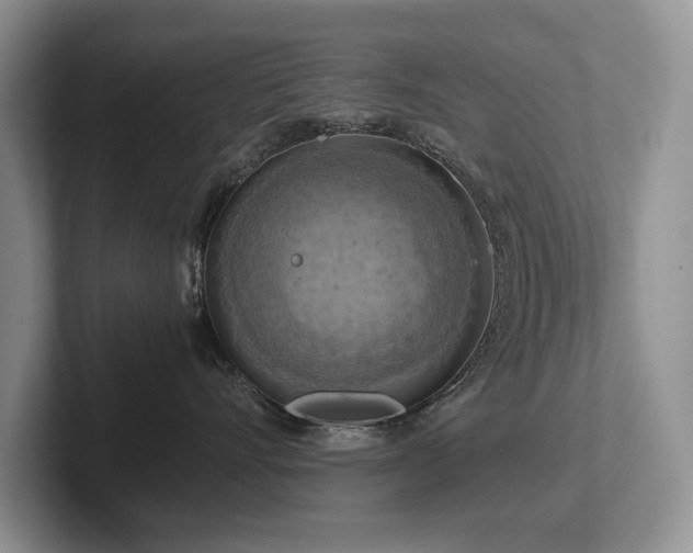 X0000102510528200808081413