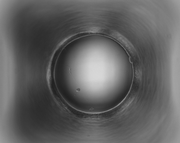 X0000102510532200808081412
