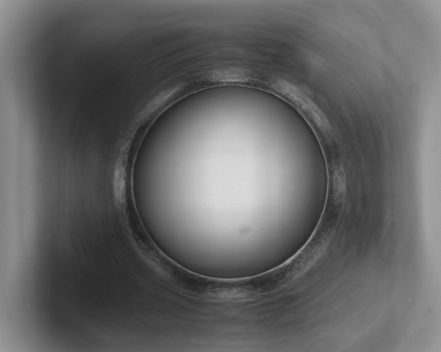 X0000102510533200808081412