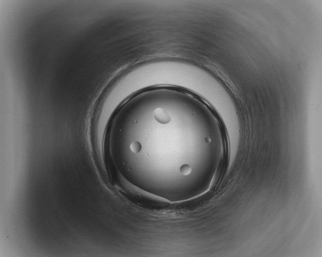 X0000102510534200808081412