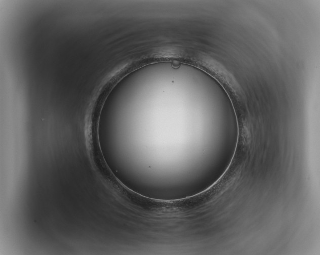 X0000102510535200808081412