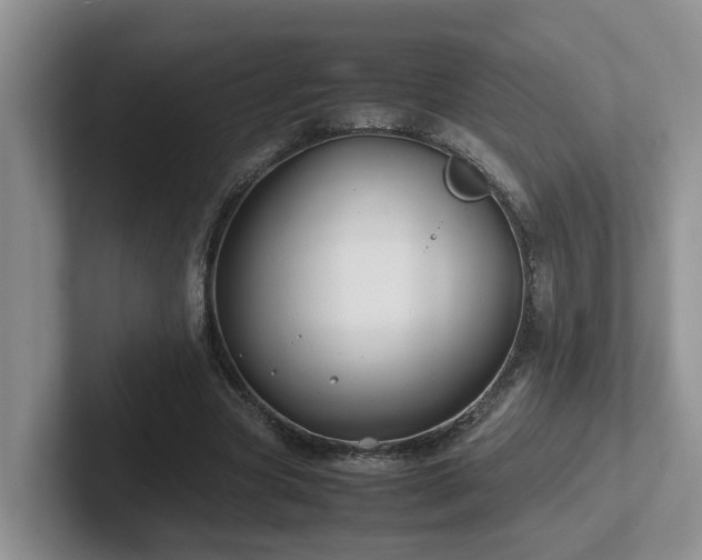 X0000102510537200808081412