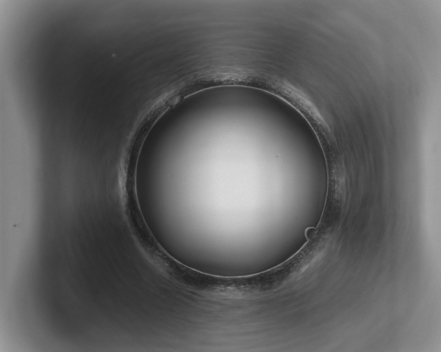 X0000102510538200808081412