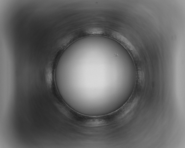 X0000102510541200808081412