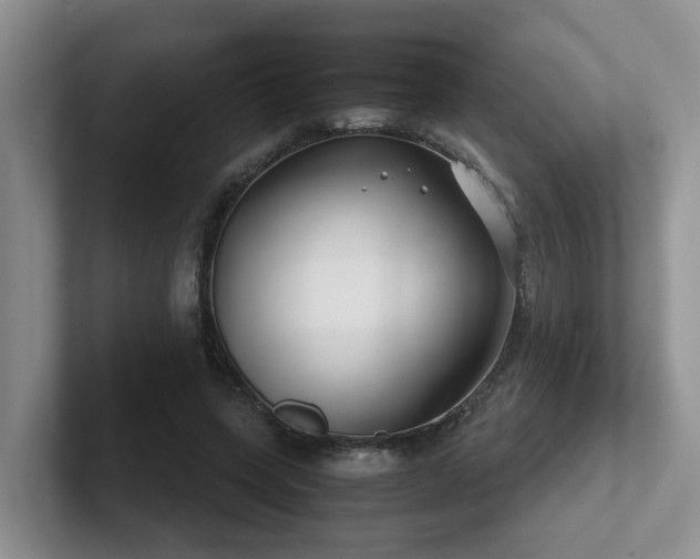 X0000102510543200808081412