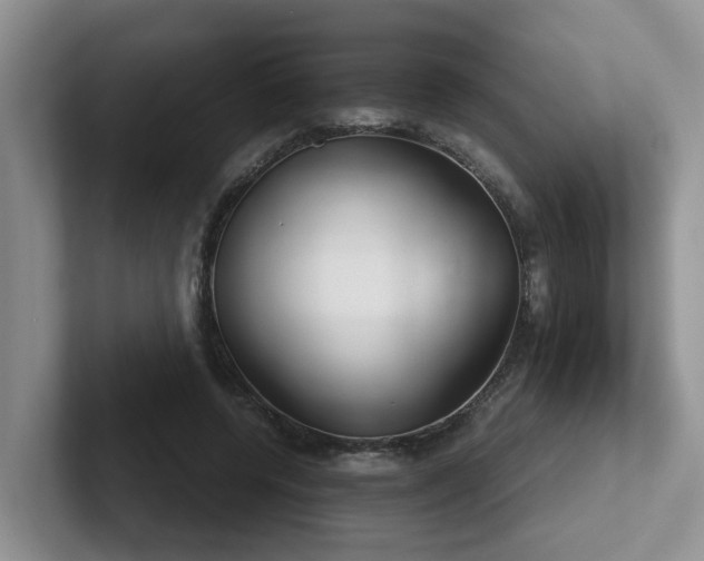 X0000102510544200808081412