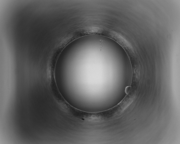 X0000102510546200808081412
