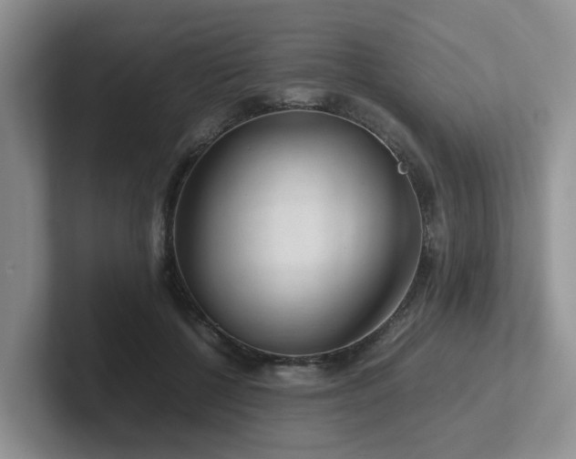 X0000102510552200808081412