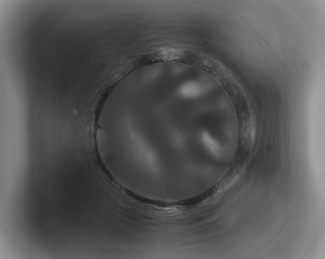 X0000102510553200808081412