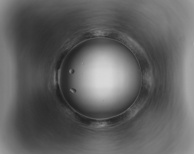 X0000102510554200808081412