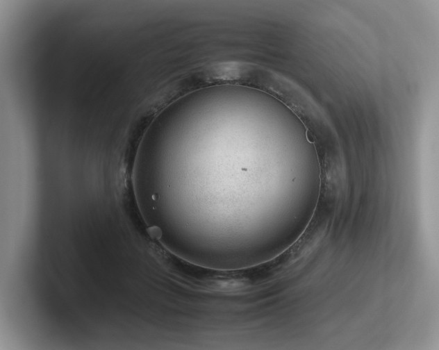 X0000102510555200808081412