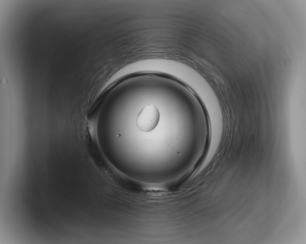 X0000102510560200808081412