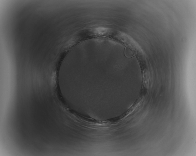 X0000102510563200808081412