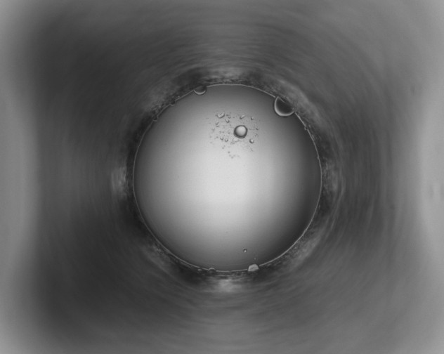 X0000102510564200808081412