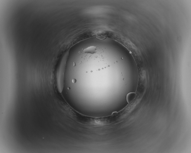 X0000102510565200808081412