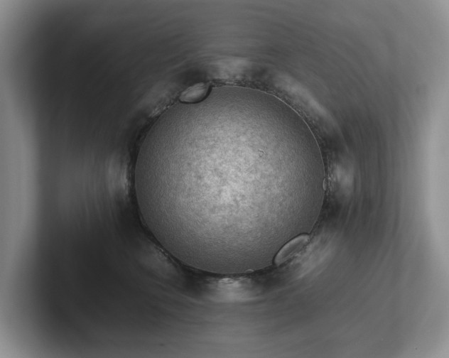X0000102510566200808081412