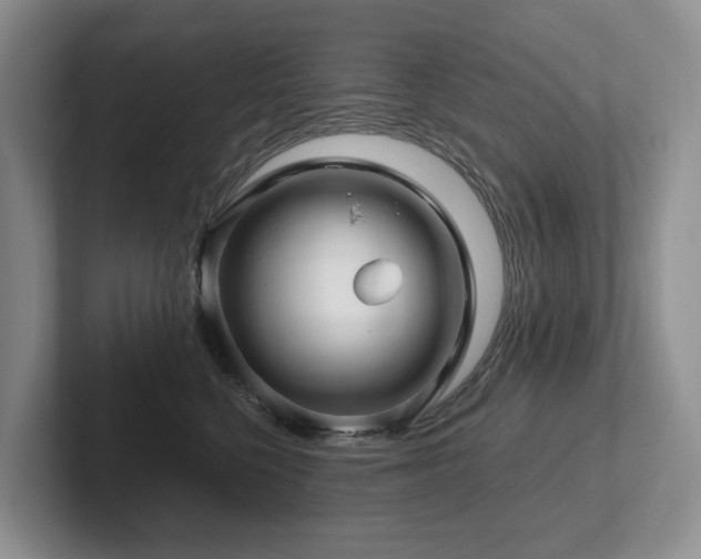 X0000102510568200808081412