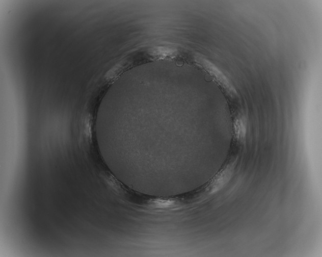 X0000102510570200808081412