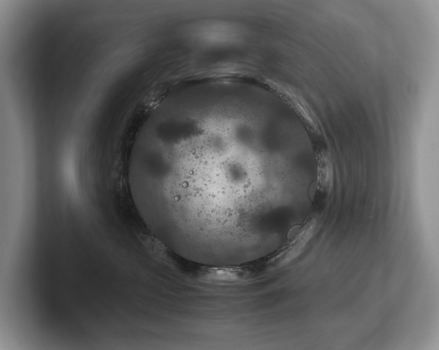 X0000102510573200808081412