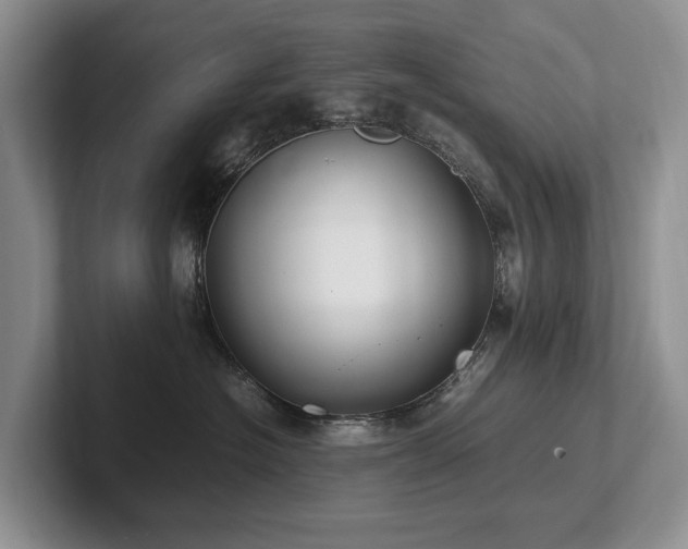X0000102510574200808081412