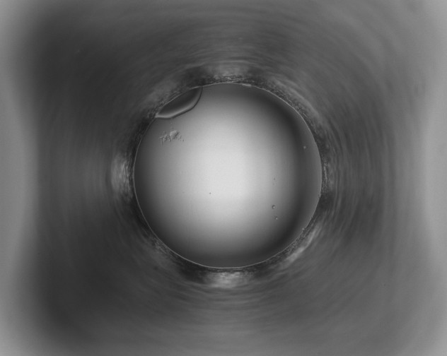 X0000102510575200808081412
