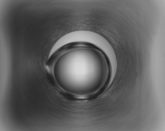 X0000102510576200808081412