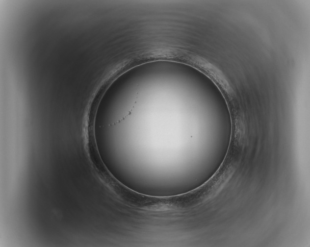 X0000102510578200808081412