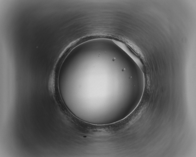X0000102510580200808081412