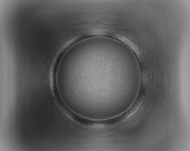 X0000102510581200808081412