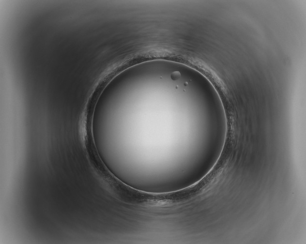 X0000102510582200808081412