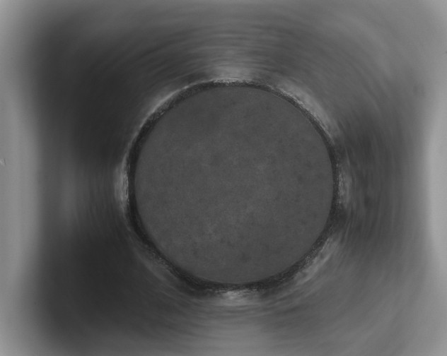 X0000102510584200808081412