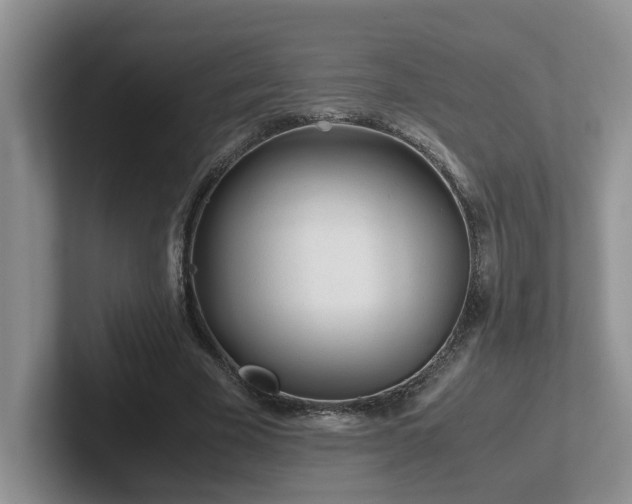 X0000102510585200808081412