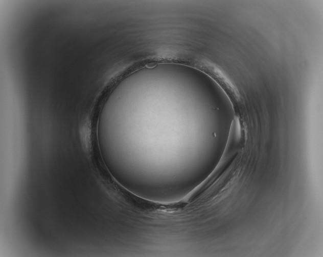 X0000102510588200808081412