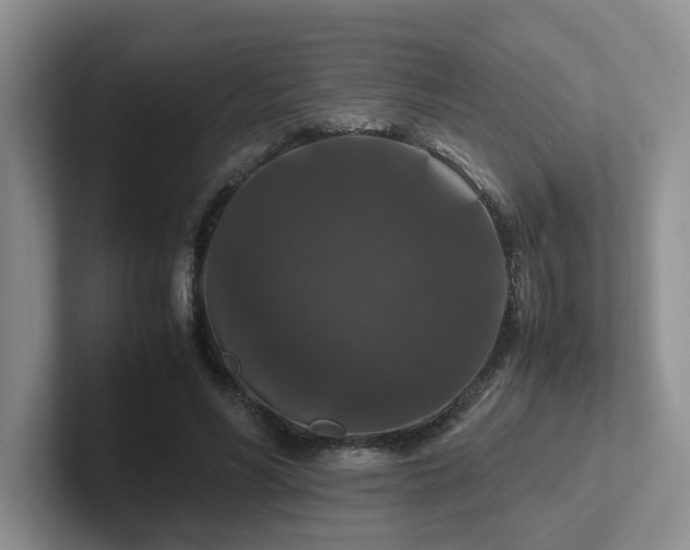 X0000102510590200808081412