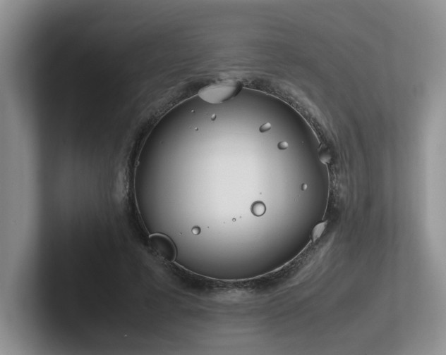 X0000102510593200808081412