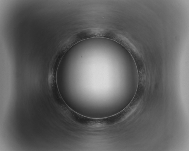 X0000102510597200808081412