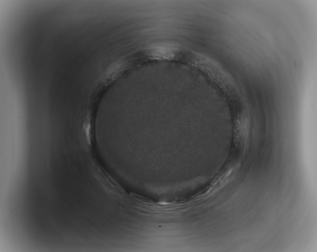 X0000102510600200808081412