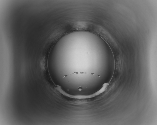 X0000102510604200808081411