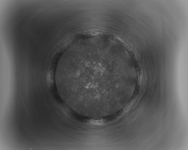 X0000102510606200808081411