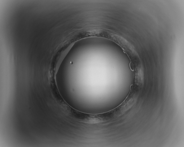 X0000102510608200808081411