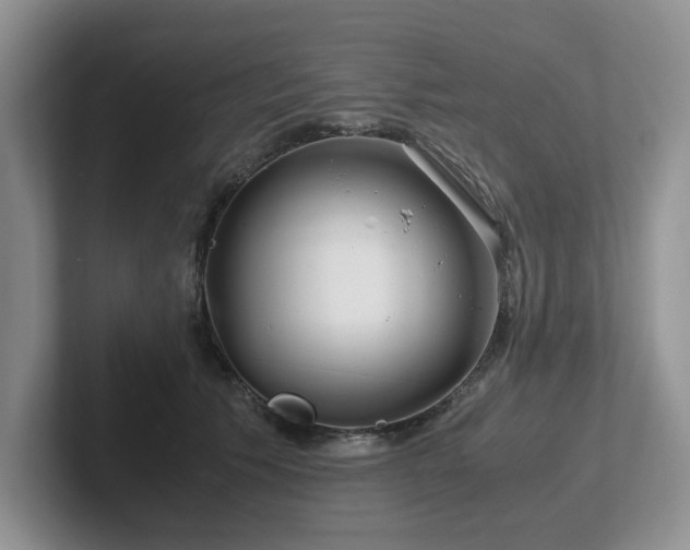 X0000102510609200808081411