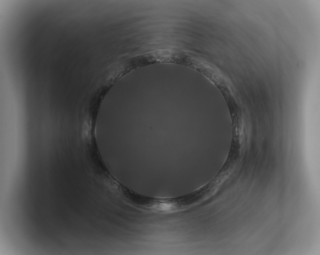 X0000102510610200808081411