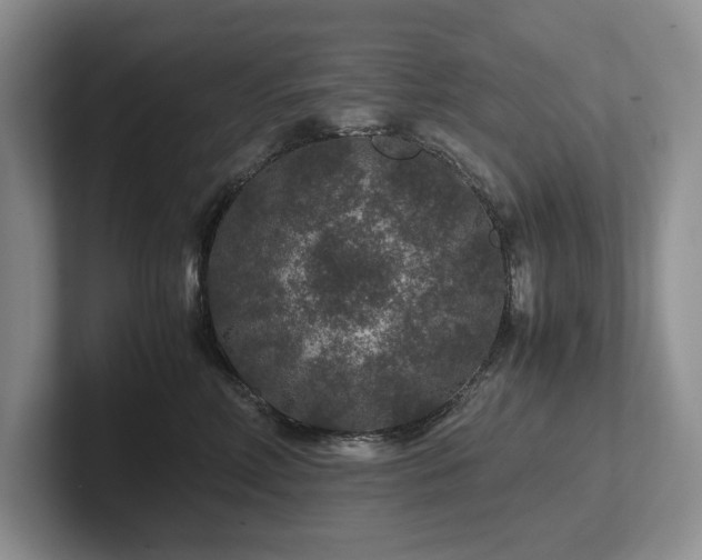 X0000102510618200808081411