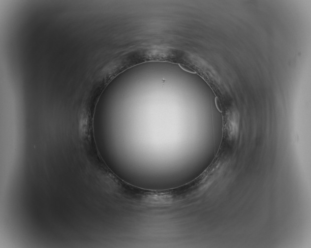 X0000102510619200808081411