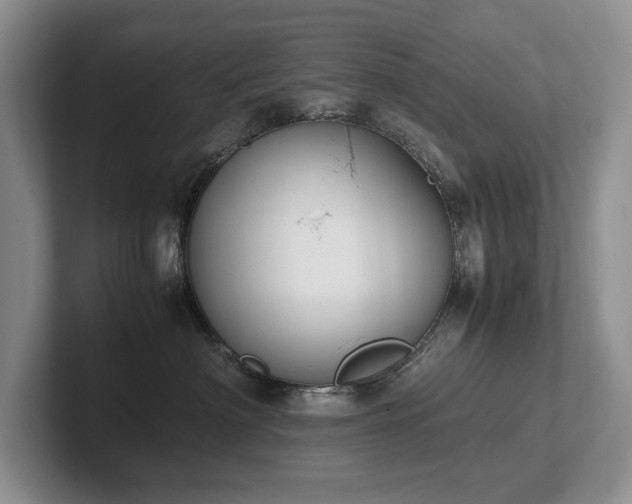 X0000102510622200808081411