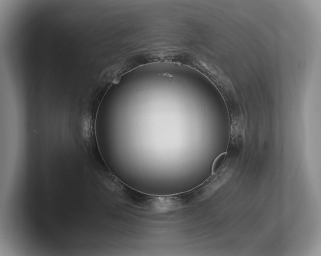 X0000102510623200808081411