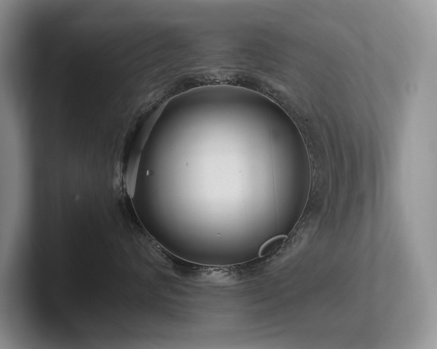 X0000102510624200808081411